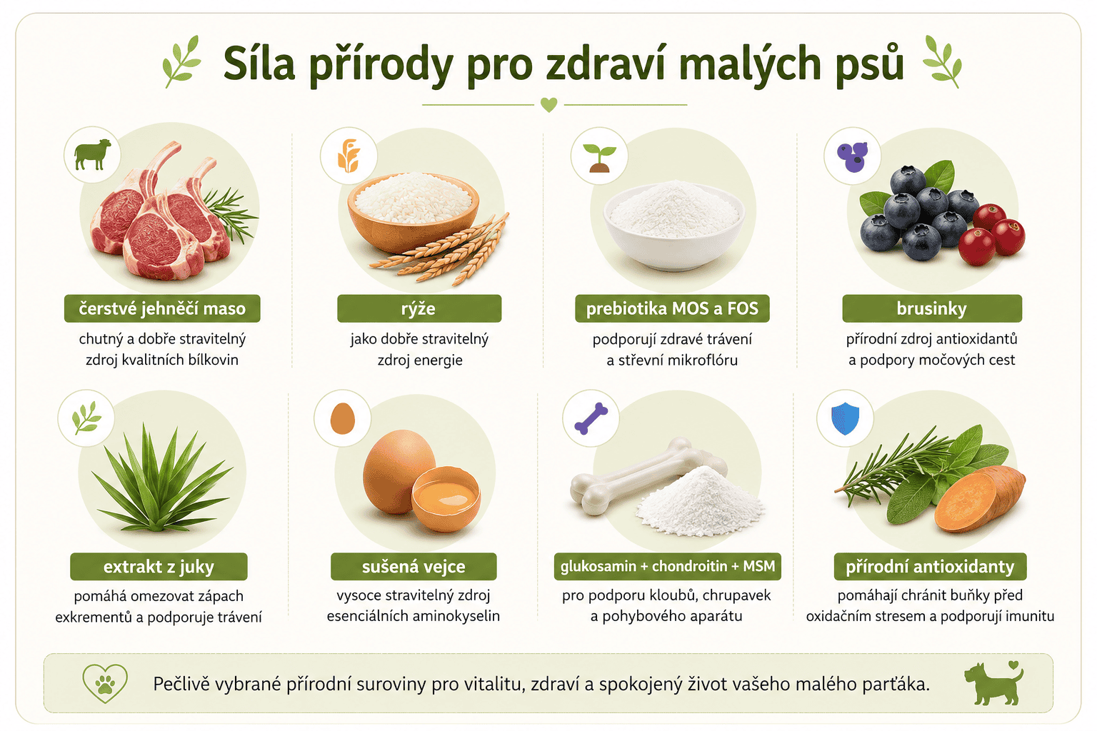 Arden Grange Adult lamb infografika síla přírody pro zdraví malých psů
